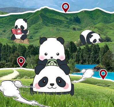 Ȥ | ag콢ٷվXPanda Roll ƿС